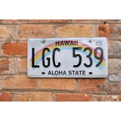 Matrículas Americanas Hawaii