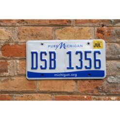 Matrículas Americanas Michigan