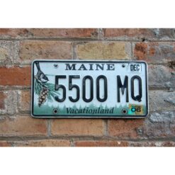 Matrículas Americanas Maine Año 1999 - 2023