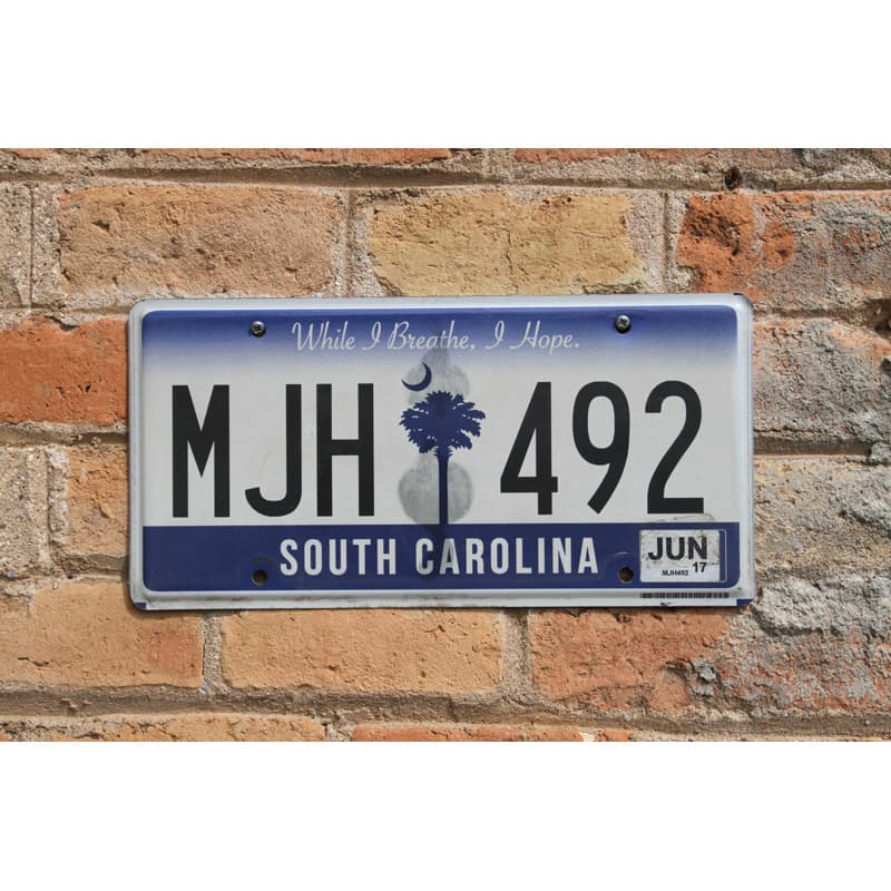 Matrículas Americanas South Carolina