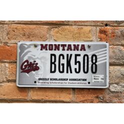 Matrículas Americanas Montana Grizzly Scholarship