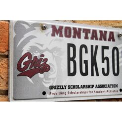 Matrículas Americanas Montana Grizzly Scholarship - Imagen 2