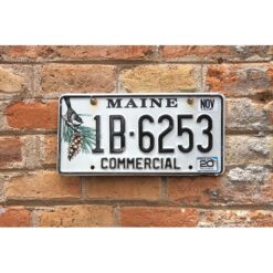 Matrículas Americanas Maine Commercial
