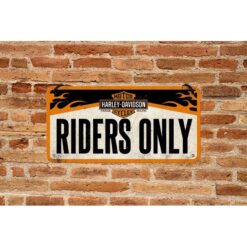 Placa decorativa Matricula de Moto Harley Davidson Riders Only 10x20 cm - Imagen 2