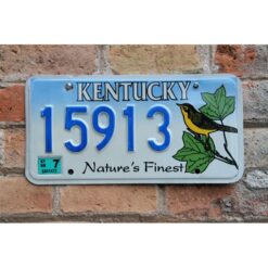 Matrículas Americanas Kentucky Nature Finest 2