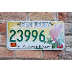 Matrículas Americanas Kentucky Nature Finest