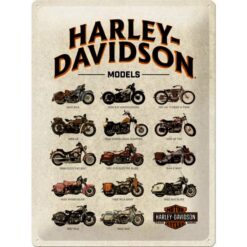 Placa decorativa Harley Davidson Models 30x40 cm