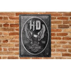 Placa decorativa Harley Davidson Iron Eagle 30x40 cm - Imagen 2