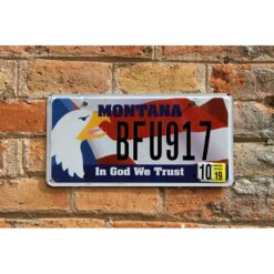 Matrículas Americanas Montana In God We Trust