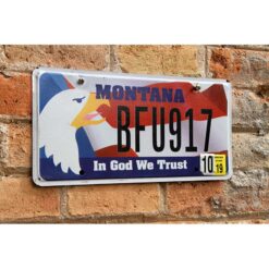 Matrículas Americanas Montana In God We Trust - Imagen 2