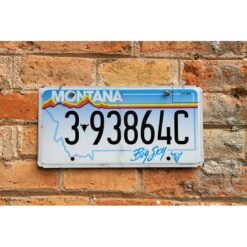 Matrículas Americanas Montana Año 1991 Plana