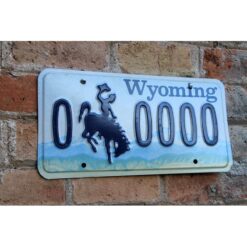 Matrículas Americanas Wyoming N-0 - Imagen 2