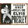 Placa Decorativa Elvis Presley Tupelo