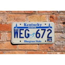 Matrículas Americanas Kentucky Bluegrass