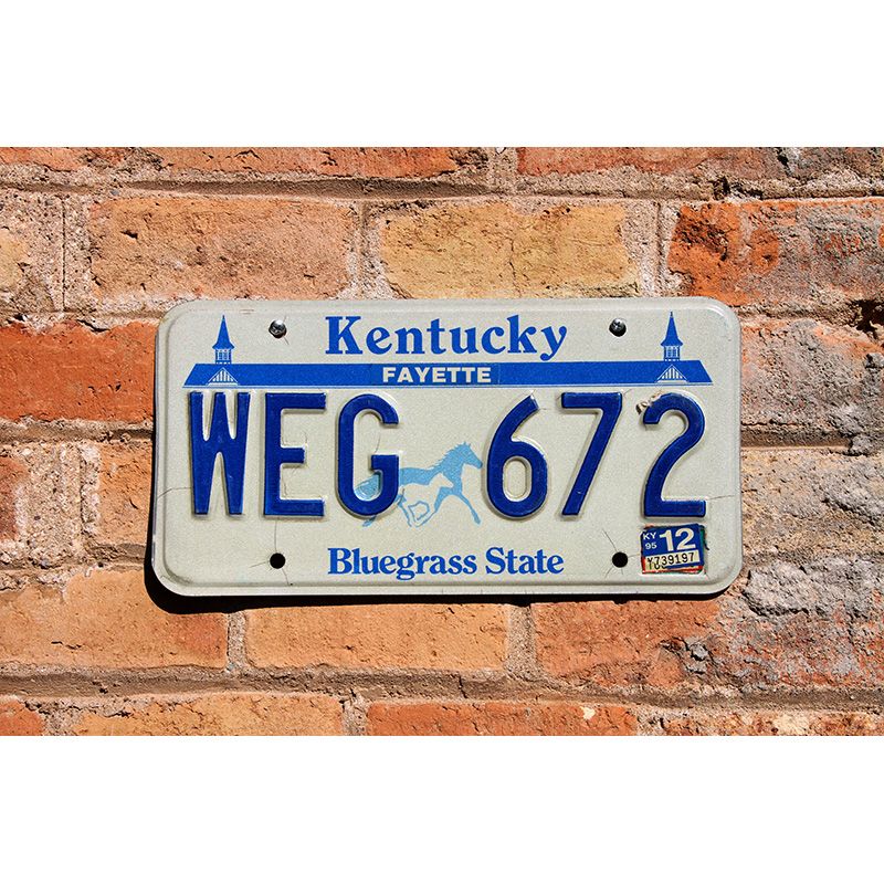 Matrículas Americanas Kentucky Bluegrass