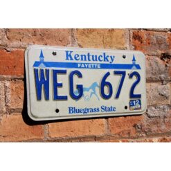 Matrículas Americanas Kentucky Bluegrass - Imagen 2