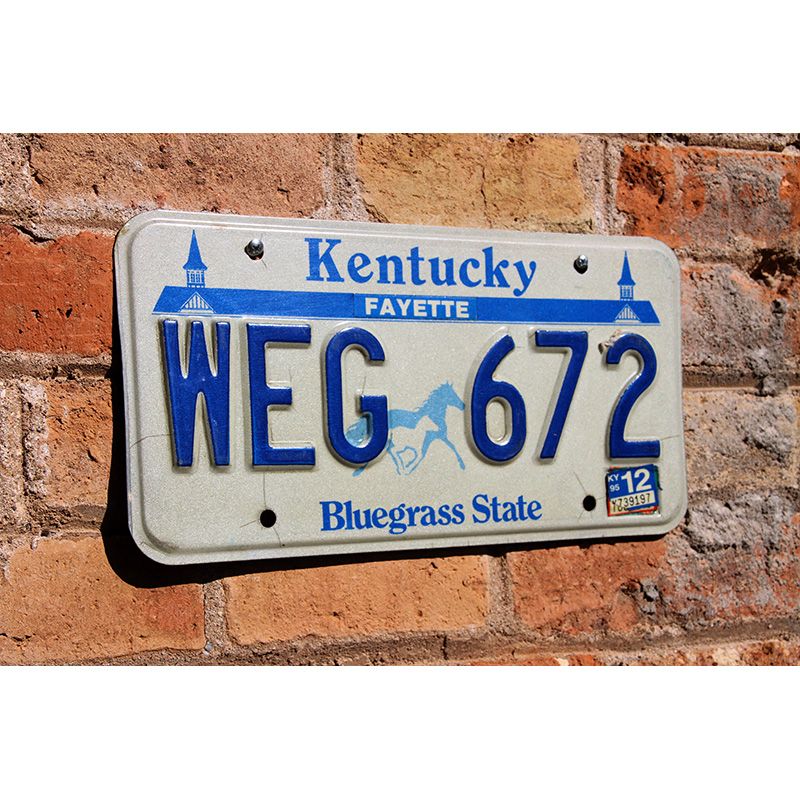 Matrículas Americanas Kentucky Bluegrass - Imagen 2
