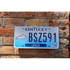 Matrículas Americanas Kentucky Año 2022
