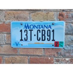 Matrículas Americanas Montana Año 2000